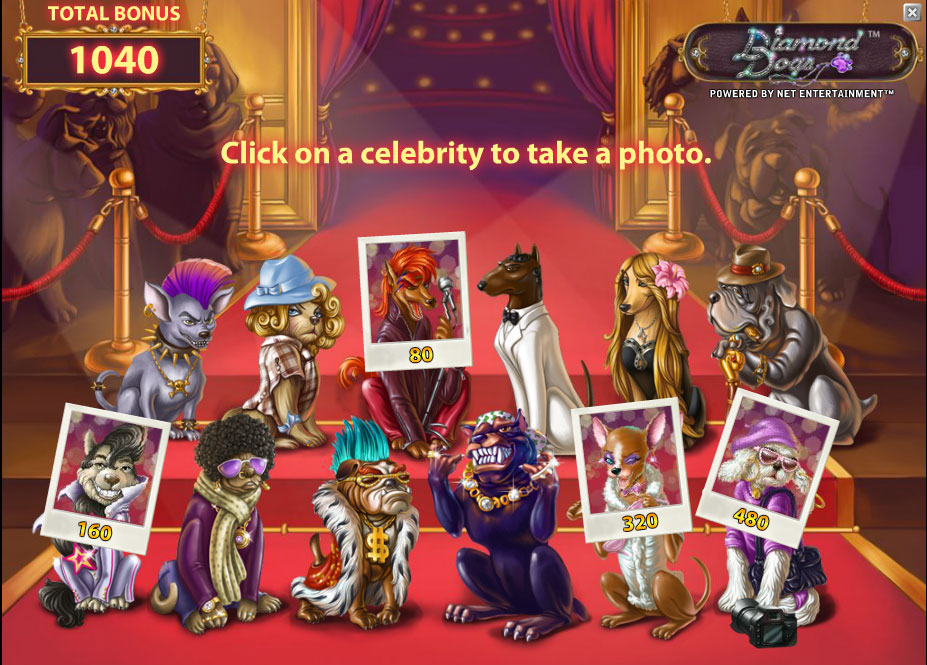 Diamond Dogs Slot Netent Bonus game