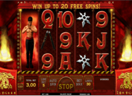 Red Dragon Wild slot Free Spins